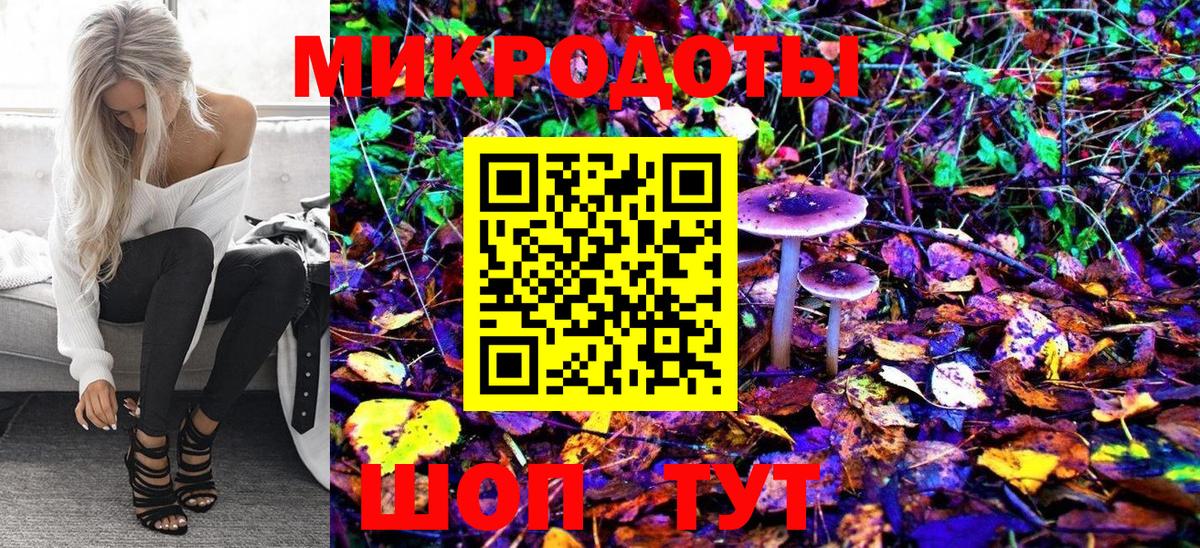 Ульяновск  Псилоцибиновые грибы мицелий  закладка  Вход с VPN  Галлюциногенные грибы Psilocybe 